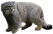 Wild cat manul with transparent background